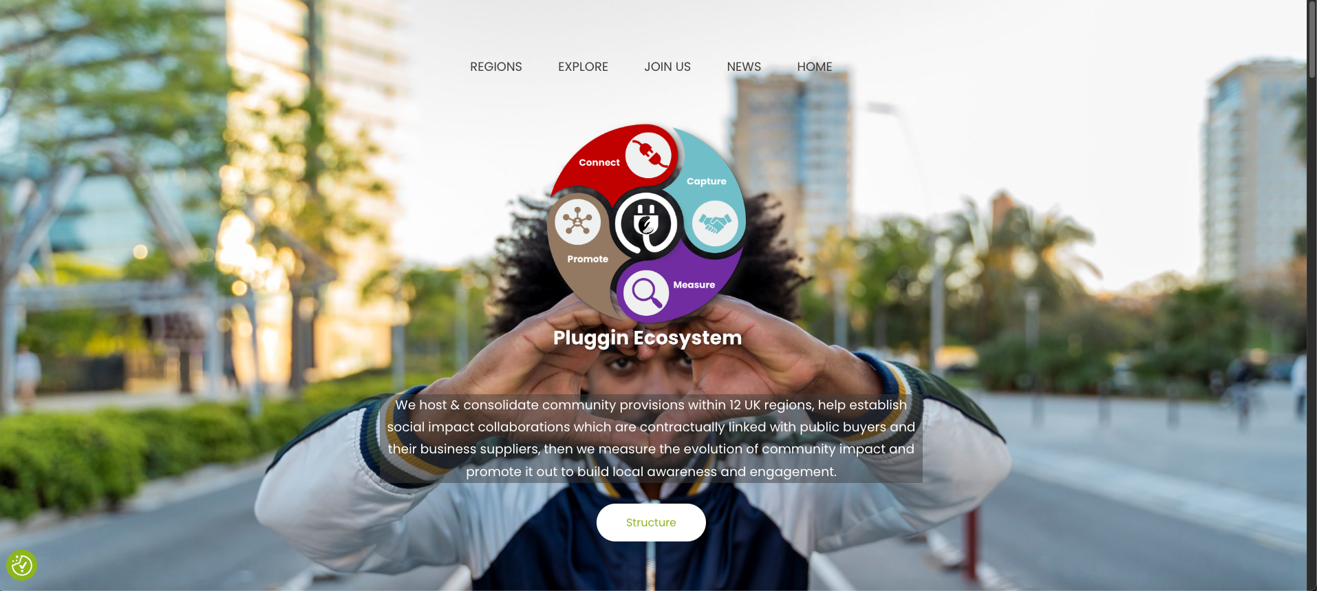 Pluggin Ecosystem